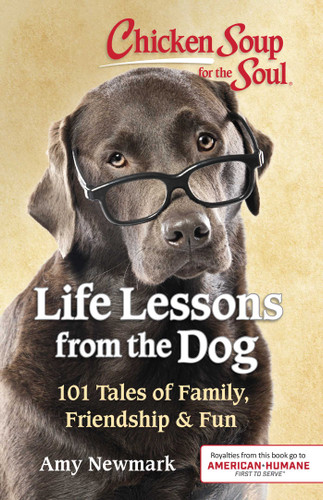 Chicken Soup for the Soul: Life Lessons from the Dog: 101 Tales of Family, Friendship & Fun book cover by Amy Newmark
