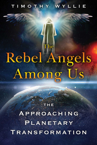 The Rebel Angels among Us: The Approaching Planetary Transformation book cover by Timothy Wyllie