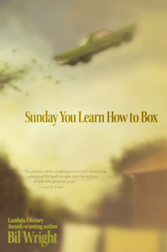 Sunday You Learn How to Box book cover by Bil Wright