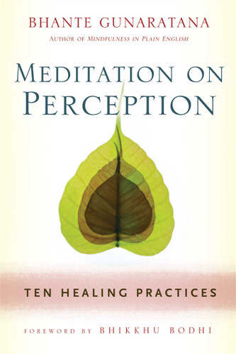 Meditation on Perception: Ten Healing Practices to Cultivate Mindfulness book cover by Henepola Gunaratana
