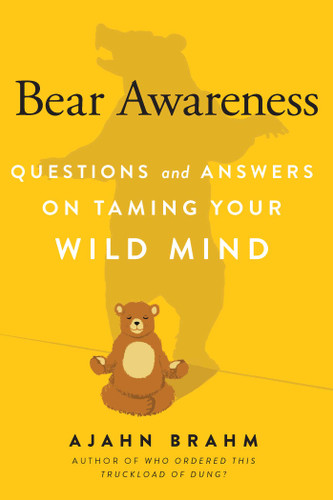 Bear Awareness: Questions and Answers on Taming Your Wild Mind book cover by Brahm