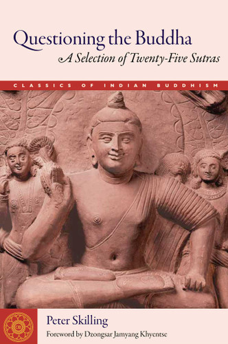 Questioning the Buddha: A Selection of Twenty-Five Sutras (Classics of Indian Buddhism) book cover by Peter Skilling