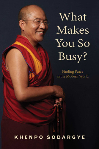 What Makes You So Busy?: Finding Peace in the Modern World book cover by Khenpo Sodargye