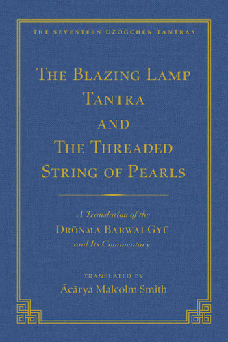 The Tantra Without Syllables (Vol 3) and The Blazing Lamp Tantra (Vol 4): A Translation of the Yigé Mepai Gyu (Vol. 3)  A Translation of the Drönma Barwai Gyu and Mutik Trengwa Gyupa (Vol 4) book cover by 