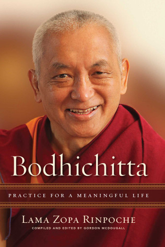 Bodhichitta: Practice for a Meaningful Life book cover by Lama Zopa Rinpoche