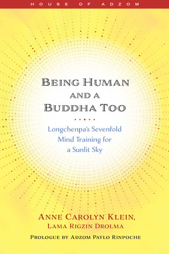 Being Human and a Buddha Too: Longchenpa's Sevenfold Mind Training for a Sunlit Sky (House of Adzom) book cover by Anne Klein
