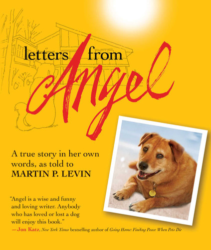Letters from Angel: A True Story In her Own Words book cover by Martin P. Levin