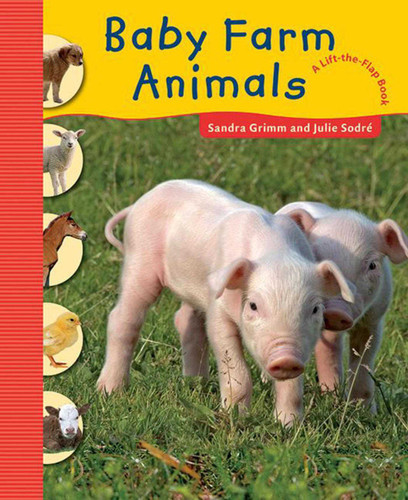 Baby Farm Animals book cover by Sandra Grimm
