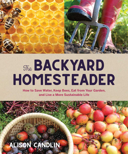 Backyard Homesteader: How to Save Water, Keep Bees, Eat from Your Garden, and Live a More Sustainable Life book cover by Alison Candlin