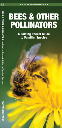 Bees & Other Pollinators: A Folding Pocket Guide to Familiar Species (Nature Observation North America) book cover by James Kavanagh