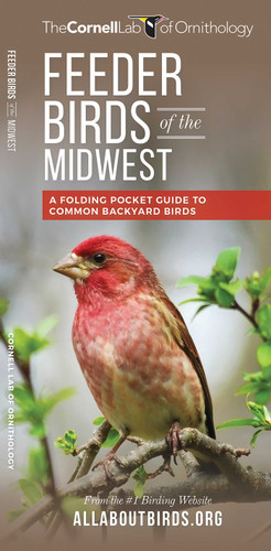 Feeder Birds of the Midwest: A Folding Pocket Guide to Common Backyard Birds (Wildlife and Nature Identification) book cover by The Cornell Lab of Ornithology