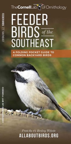Feeder Birds of the Southeast (All About Birds) book cover by The  Cornell Lab of Ornithology