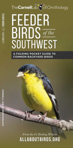 Feeder Birds of the Southwest: A Folding Pocket Guide to Common Backyard Birds (Wildlife and Nature Identification) book cover by The Cornell Lab of Ornithology