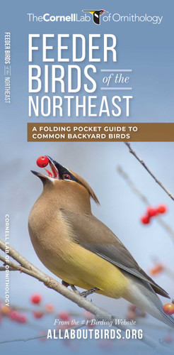 Feeder Birds of the Northeast: A Folding Pocket Guide to Common Backyard Birds (Wildlife and Nature Identification) book cover by The Cornell Lab of Ornithology
