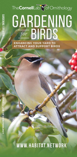 Gardening for Birds (All About Birds) book cover by The  Cornell Lab of Ornithology