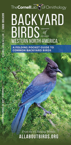 Backyard Birds of Western North America (All About Birds) book cover by The  Cornell Lab of Ornithology