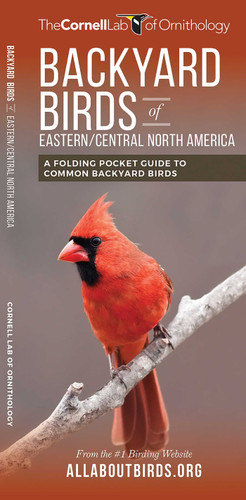 Backyard Birds of Eastern/Central North America: A Folding Pocket Guide to Common Backyard Birds (All About Birds) book cover by The Cornell Lab of Ornithology