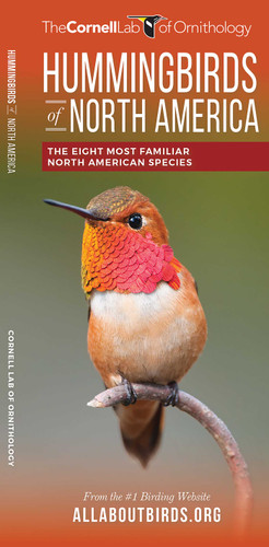 Hummingbirds of North America (All About Birds) book cover by The  Cornell Lab of Ornithology