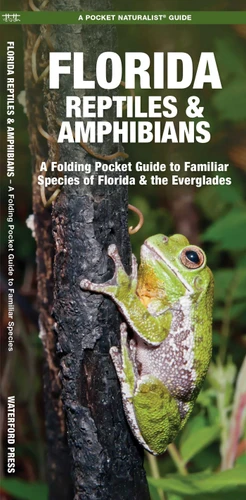 Florida Reptiles & Amphibians: A Folding Pocket Guide to Familiar Species of Florida & the Everglades (Wildlife and Nature Identification) book cover by James Kavanagh