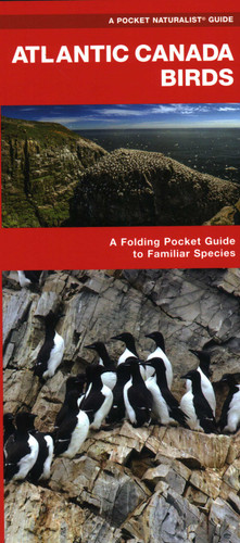 Atlantic Canada Birds: A Folding Pocket Guide to Familiar Species (Wildlife and Nature Identification) book cover by James Kavanagh