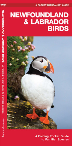 Newfoundland & Labrador Birds: A Folding Pocket Guide to Familiar Species (Wildlife and Nature Identification) book cover by James Kavanagh