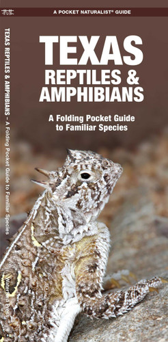 Texas Reptiles & Amphibians (Nature Observation North America) book cover by James Kavanagh