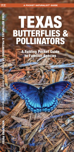 Texas Butterflies & Pollinators: A Folding Pocket Guide to Familiar Species (Wildlife and Nature Identification) book cover by James Kavanagh