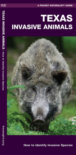 Texas Invasive Animals: How to Identify Invasive Species (Wildlife and Nature Identification) book cover by James Kavanagh