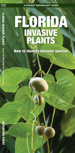 Florida Invasive Plants: How to Identify Invasive Species book cover by James Kavanagh