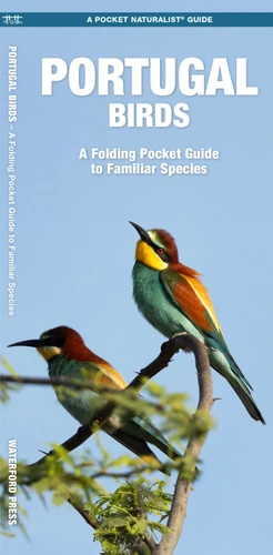 Portugal Birds (Nature Observation International) book cover by James Kavanagh, Waterford Press