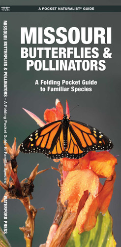 Missouri Butterflies & Pollinators (Nature Observation North America) book cover by James Kavanagh