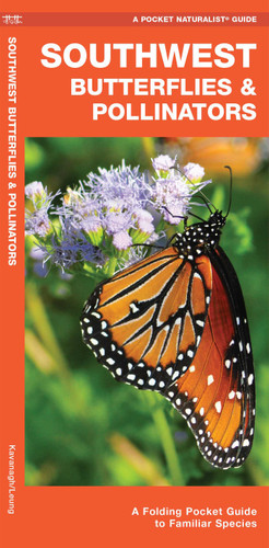 Southwest Butterflies & Pollinators: A Folding Pocket Guide to Familiar Species (Nature Observation North America) book cover by James Kavanagh