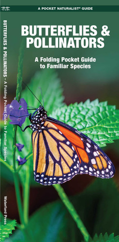 Butterflies & Pollinators: A Folding Pocket Guide to Familiar Species book cover by J.M. Kavanagh