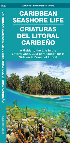 Caribbean Seashore Life / Criaturas Del Litoral Caribeño: A Guide to the Life in the Littoral Zone/Guia para Identificar la Vida en la Zona Del Litoral (Nature Observation International) book cover by James Kavanagh