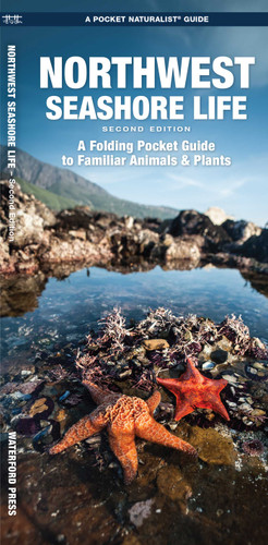 Northwest Seashore Life, 2nd Ed: A Folding Pocket Guide to Familiar Animals & Plants (Nature Observation North America) book cover by James Kavanagh