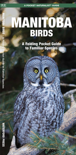 Manitoba Birds: A Folding Pocket Guide to Familiar Species book cover by James Kavanagh