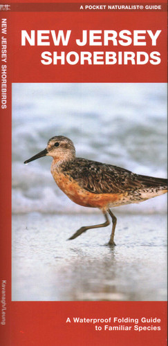 New Jersey Shorebirds: A Folding Guide to Familiar Species (Nature Observation North America) book cover by J.M. Kavanagh
