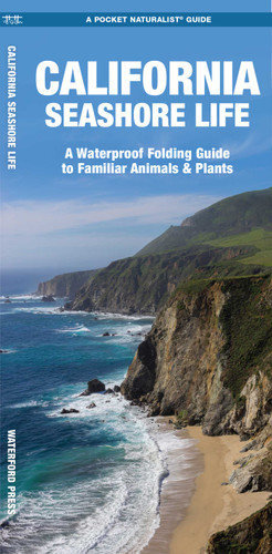 California Seashore Life, 2nd Ed: A Folding Guide to Familiar Animals & Plants (Nature Observation North America) book cover by J.M. Kavanagh