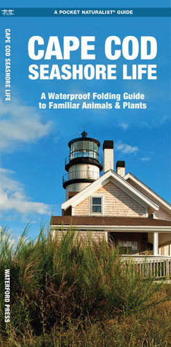 Cape Cod Seashore Life, 2nd Ed (Nature Observation North America) book cover by James Kavanagh
