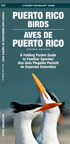 Puerto Rico Birds/Aves de Puerto Rico: A Folding Pocket Guide to Familiar Species/Una Guia Plegable Portatil de Especies Conocidas book cover by J.M. Kavanagh
