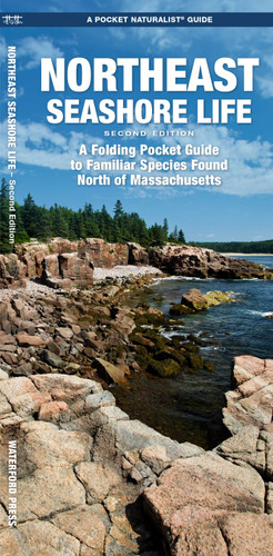 Northeast Seashore Life, 2nd Ed (Nature Observation North America) book cover by J.M. Kavanagh