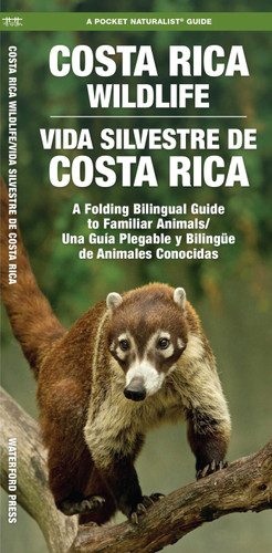 Costa Rica Wildlife/Vida Silvestre de Costa Rica: A Folding Bilingual Guide to Familiar Animals/Una Guía Plegable y Bilingüe de Animales Conocidas (Nature Observation International) book cover by J.M. Kavanagh