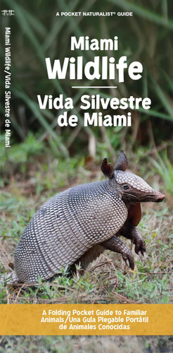 Miami Wildlife/Vida Silvestre de Miami (Nature Observation North America) book cover by J.M. Kavanagh