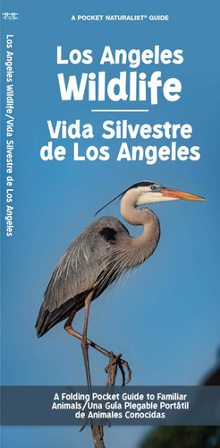 Los Angeles Wildlife/Vida Silvestre de Los Angeles: A Folding Pocket Guide to Familiar Animals/Una Guia Plegable Portatil de Animales Conocidas (Urban Wildlife) book cover by J.M. Kavanagh