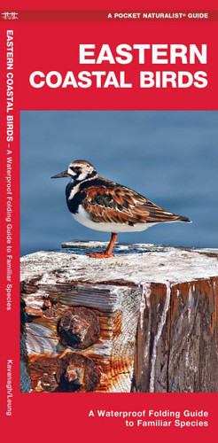 Eastern Coastal Birds, 2nd Ed (Nature Observation North America) book cover by James Kavanagh