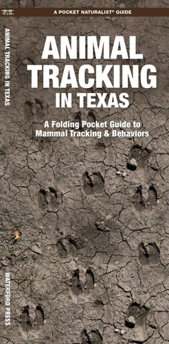 Animal Tracking in Texas (Outdoor Recreation and Survival) book cover by James Kavanagh