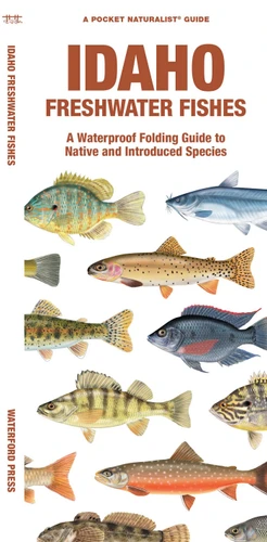 Idaho Freshwater Fishes: A Folding Guide to Native and Introduced Species (Freshwater Fishes) book cover by Matthew Morris
