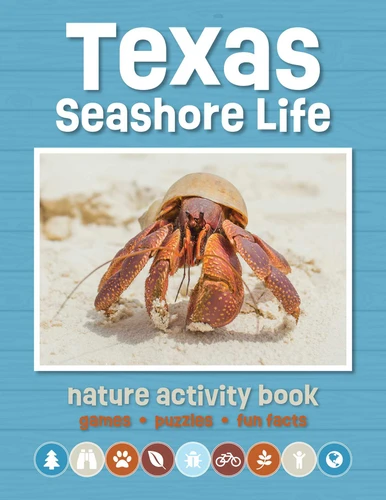 Texas Seashore Life Nature Activity Book: Games & Activities for Young Nature Enthusiasts (Nature Activity Book) book cover by J.M. Kavanagh