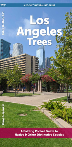 Los Angeles Trees: A Folding Pocket Guide to Native & Other Distinctive Species (Urban Trees) book cover by J.M. Kavanagh