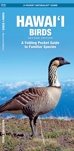 Hawai'i Birds: A Folding Pocket Guide to Familiar Species book cover by J.M. Kavanagh